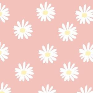 Meet your Posher, Jasnit